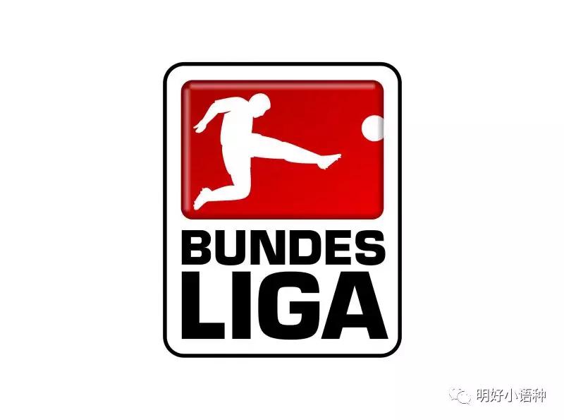 和德国一样，奥地利联赛也称作BUNDESLIGA，历史、特点与影响